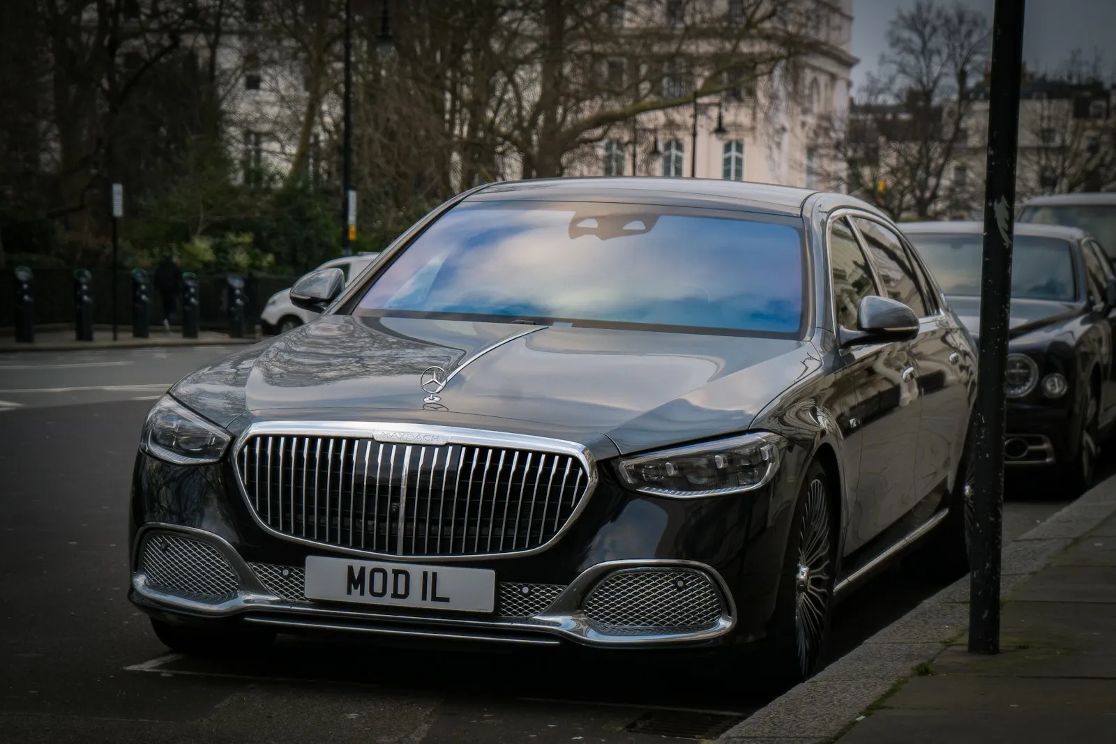 Luxury Vehicles with a Professional Touch